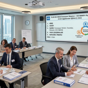 TS EN ISO 56010 İnovasyon Yönetimi-ISO 56000’e ilişkin örnek uygulamalar Eğitimi (1 Gün)